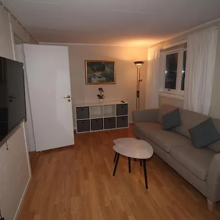 Fully-furnished In City Apartment
